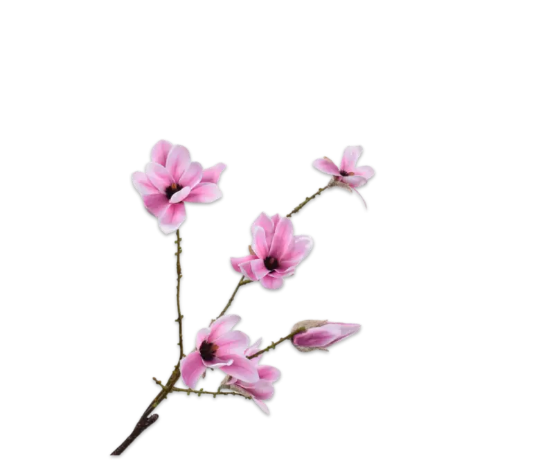 Kunstig lilla magnolia gren L: 73 cm.
