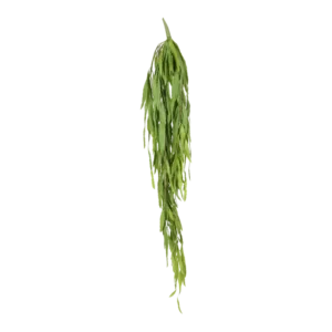 Kunstig grøn sukkulent busk L: 122 cm.