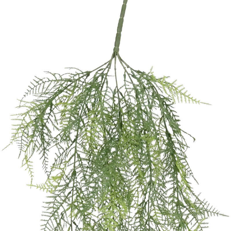 Closeup af Kunstig asparagus hængeplante - L: 75 cm.