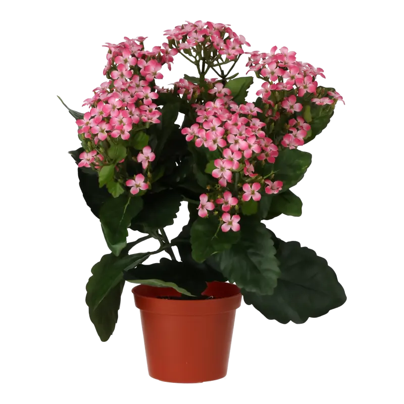 Kunstig Kalanchoe rosa - H: 30 cm.