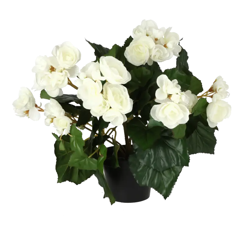 Kunstig begonia hvid - H: 30 cm.