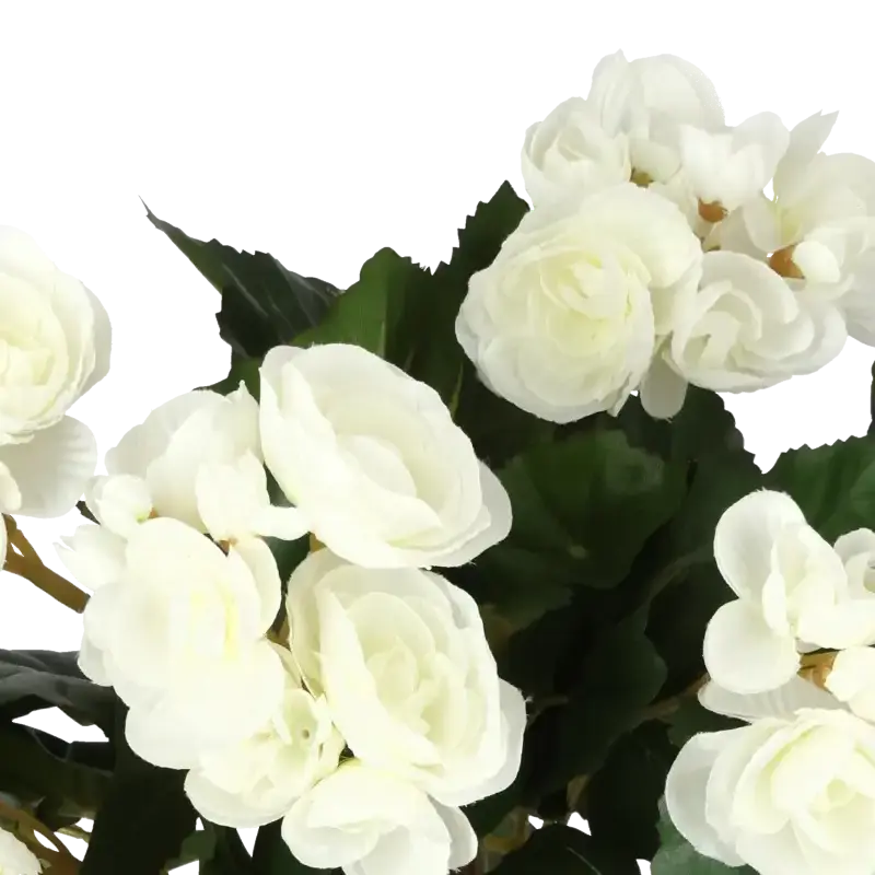 Closeup af Kunstig begonia hvid H: 30 cm.
