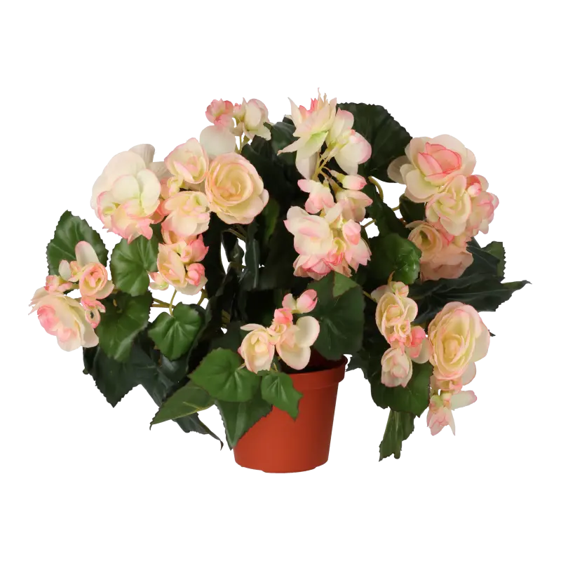 Kunstig begonia i ferskenfarvet - H: 30 cm.