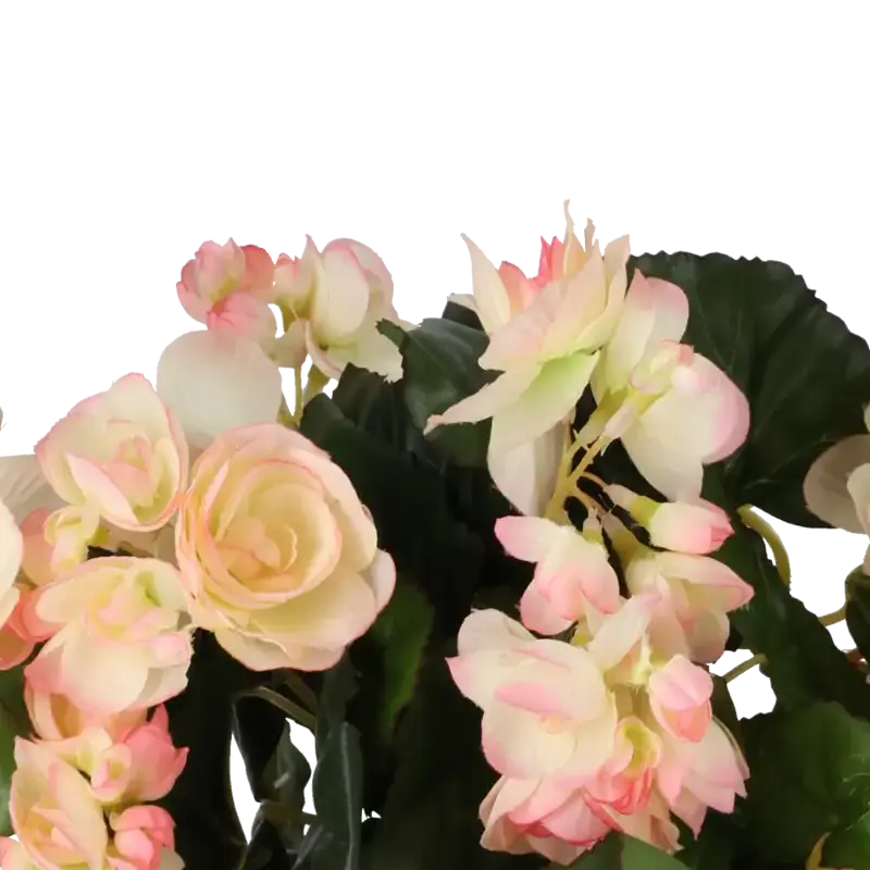 Closeup af Kunstig begonia i ferskenfarvet H: 30 cm.