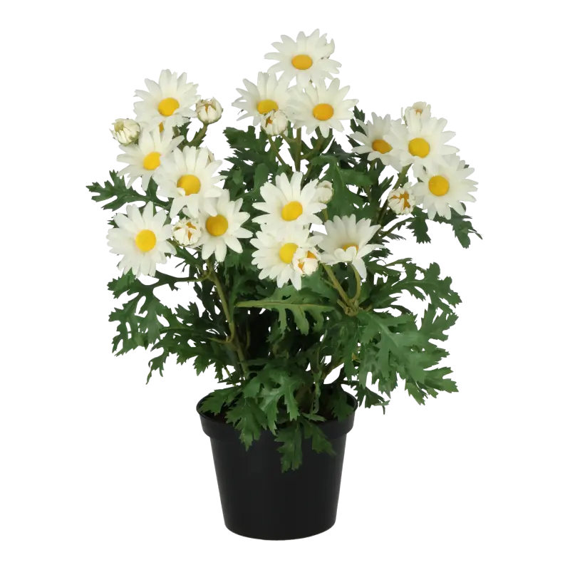 Kunstig marguerit hvid - H: 35 cm.