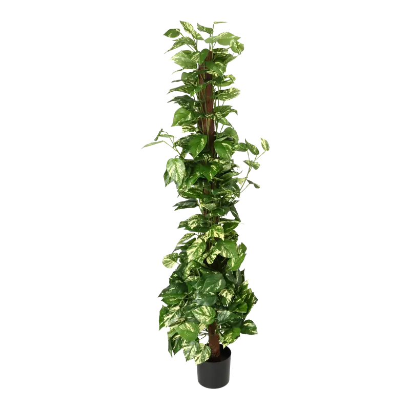 Kunstig pothos ranke på stamme - H: 150 cm.