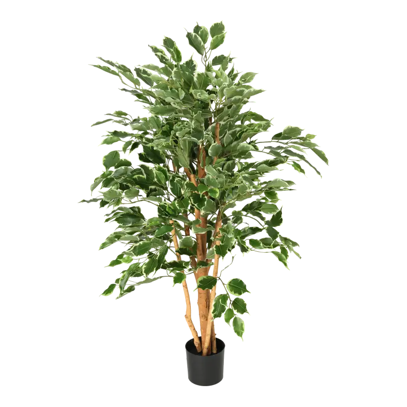 Kunstig ficus benjamina golden green - H: 110 cm.