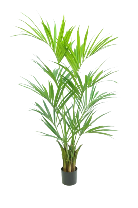 Kunstig kentia palme - H: 150 cm.