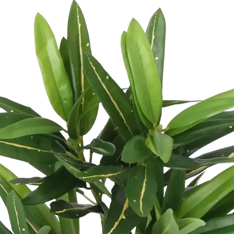 Closeup af Kunstig croton plante - H: 31 cm.