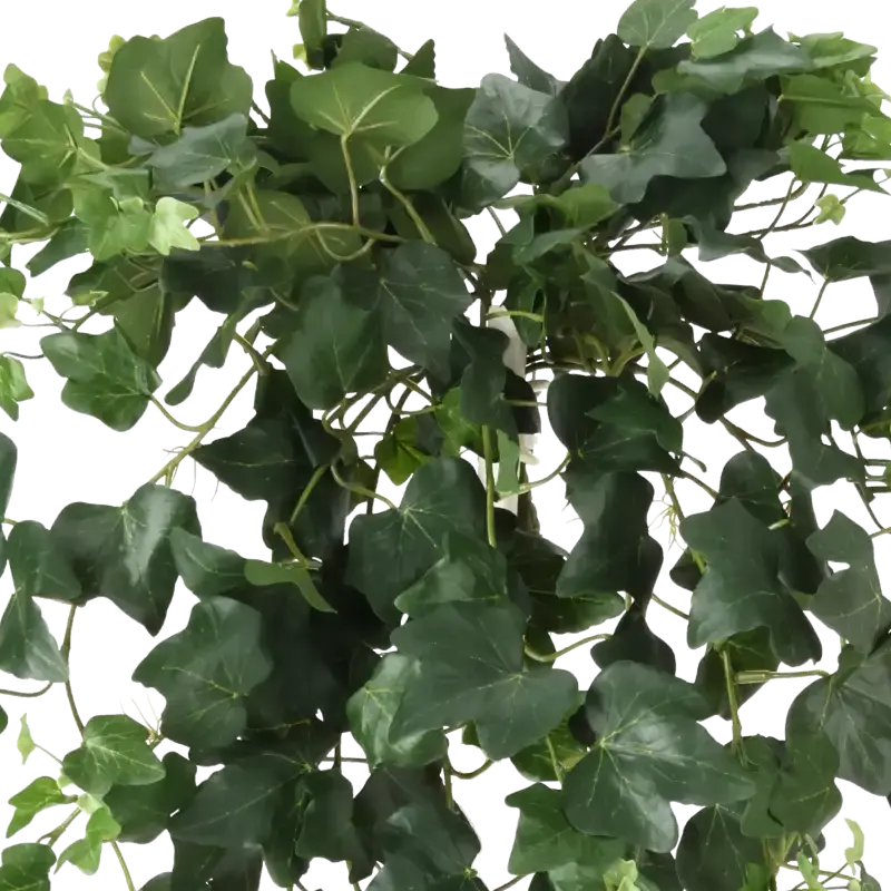 Closeup af Kunstig efeu hænge busk - L: 65 cm.