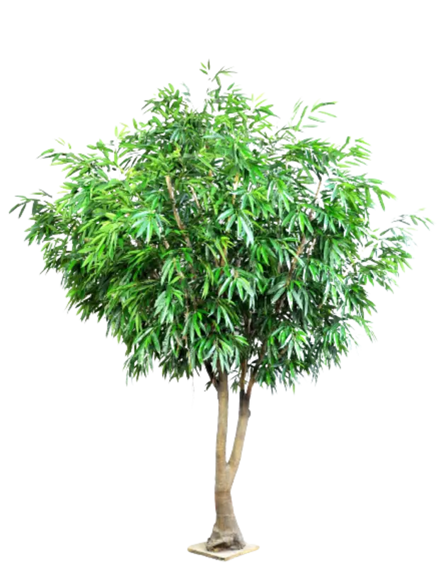 Kunstig Royal Longifolia FR - H: 360 cm.