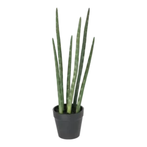 Kunstig Sanseveria - H: 40 cm.
