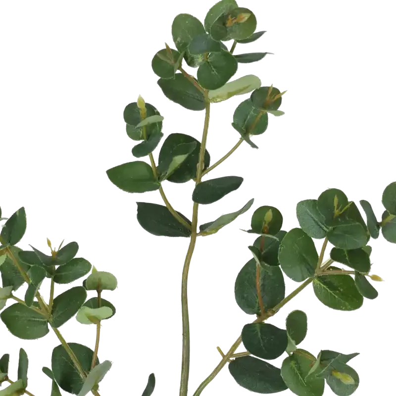 Closeup af Kunstig Eukalyptus gren L: 51 cm.