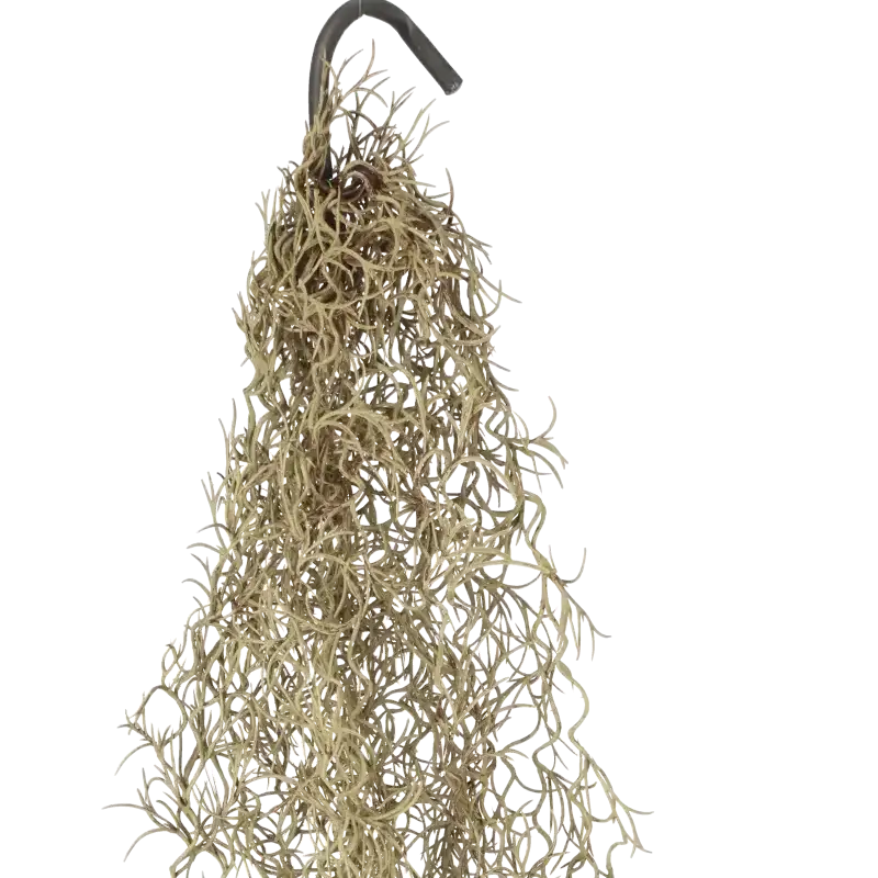 Closeup af Kunstig tillandsia hængeranke brun - L: 90 cm..