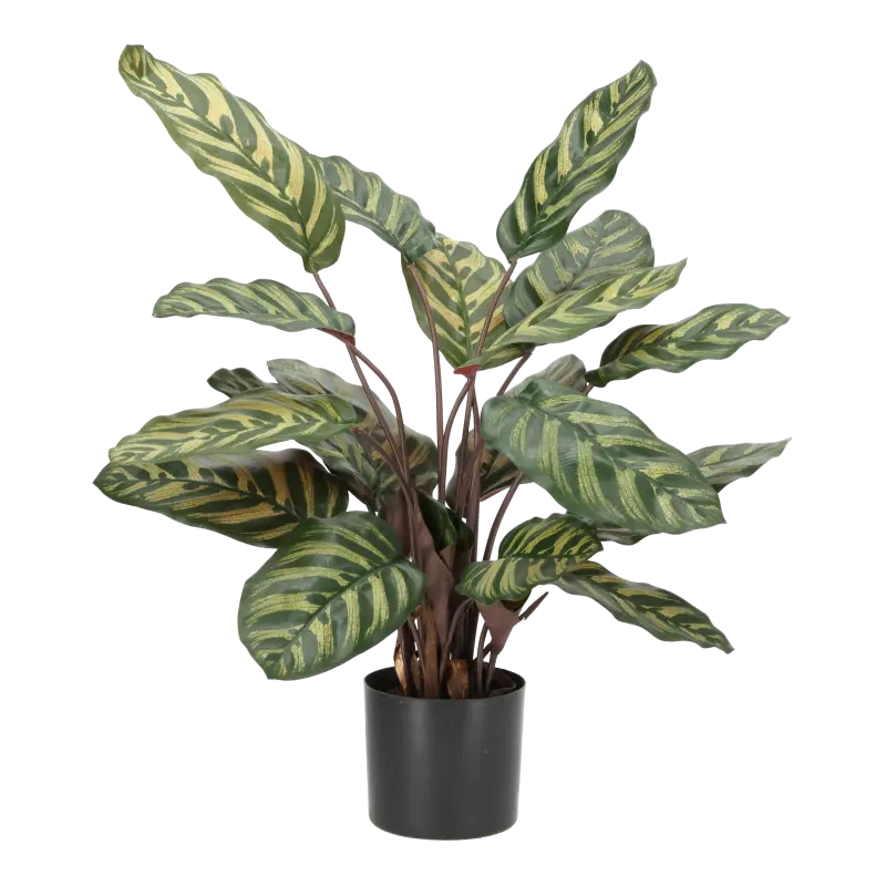 Kunstig calathea grøn/rød - H: 58 cm.