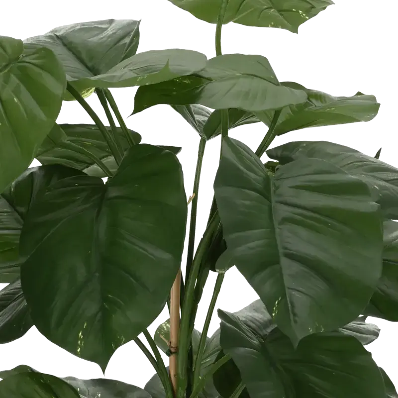 Closeup af Kunstig pothos plante - H: 115 cm.