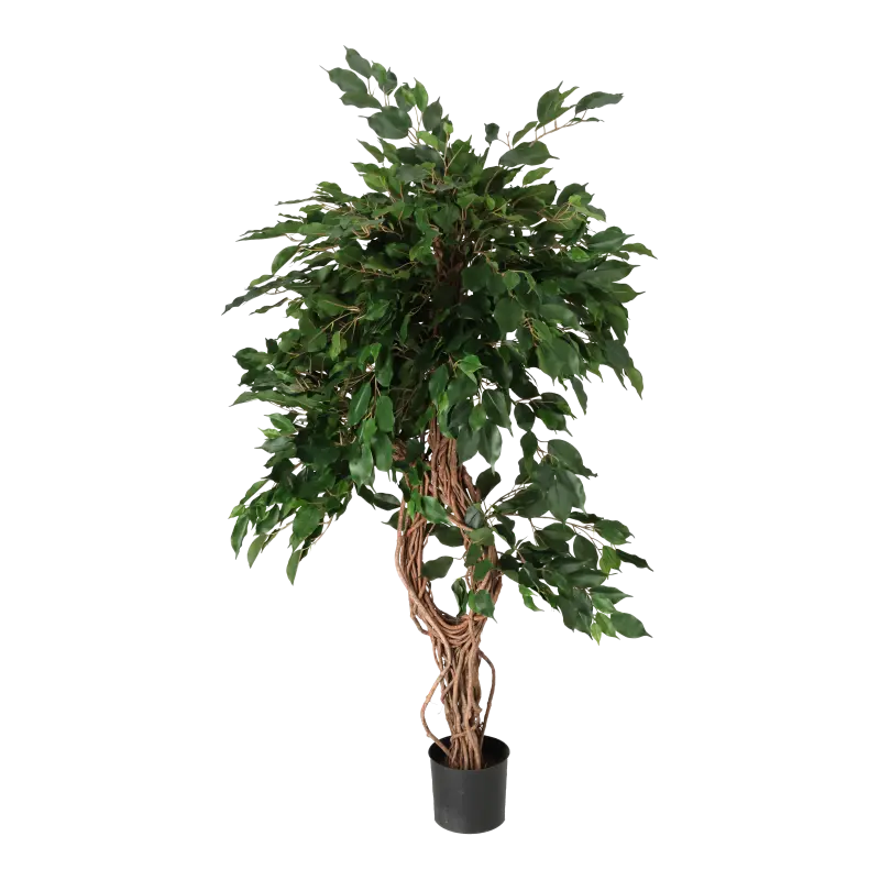 Kunstig Ficus lian - H: 140 cm.