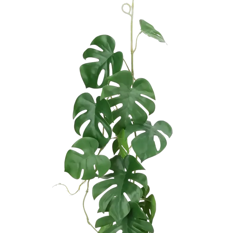 Closeup af Kunstig philodendron ranke - L: 110 cm.