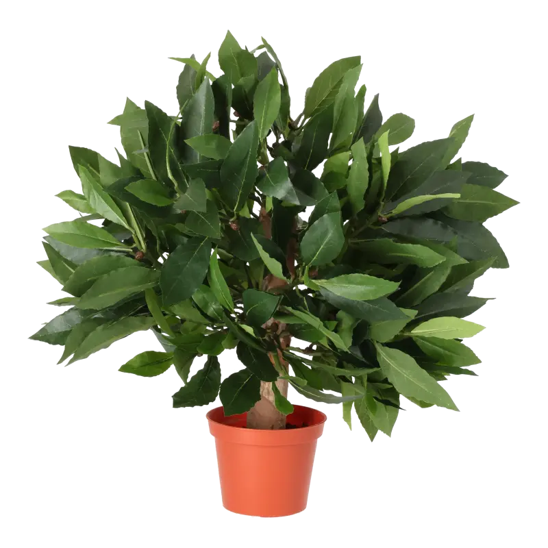 Kunstig laurbær kugle - H: 25 cm.