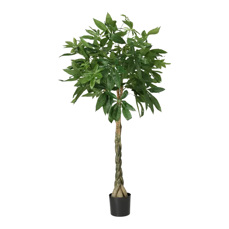 Kunstig pachira - H: 130 cm.