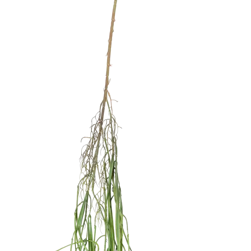 Closeup af Kunstig græs hængeplante L: 145 cm.