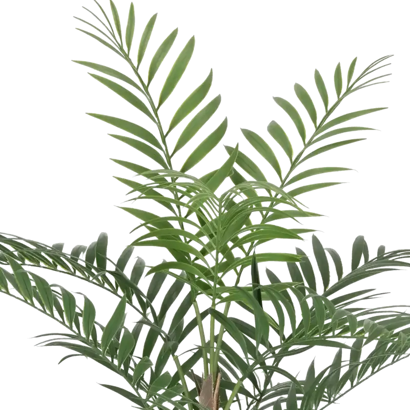 Closeup af Kunstig Chamaedorea palme UV H: 90.