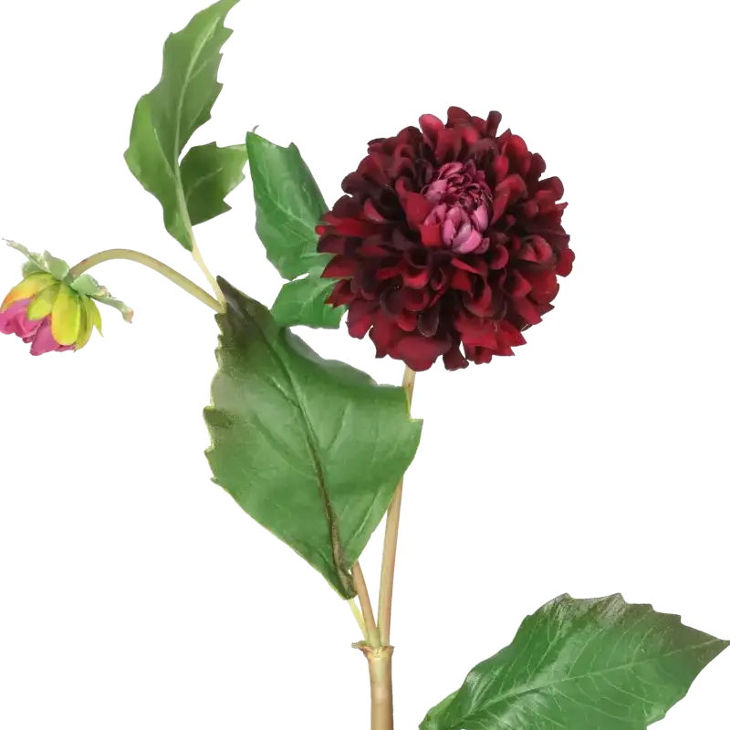 Closeup af Kunstig dahlia stilk i vinrød - L: 52 cm.