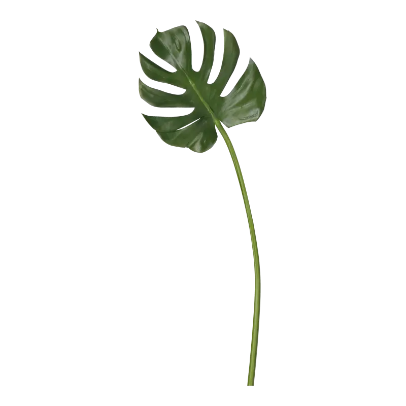 Kunstig Monstera blad L: 78 cm.