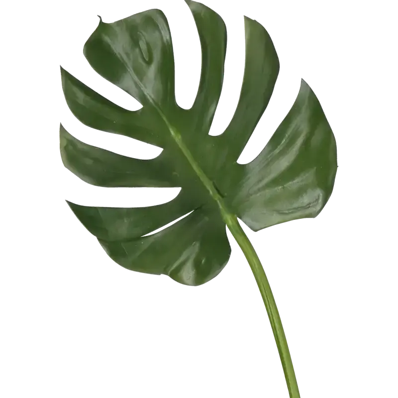 Closeup af Kunstig Monstera blad L: 78 cm.