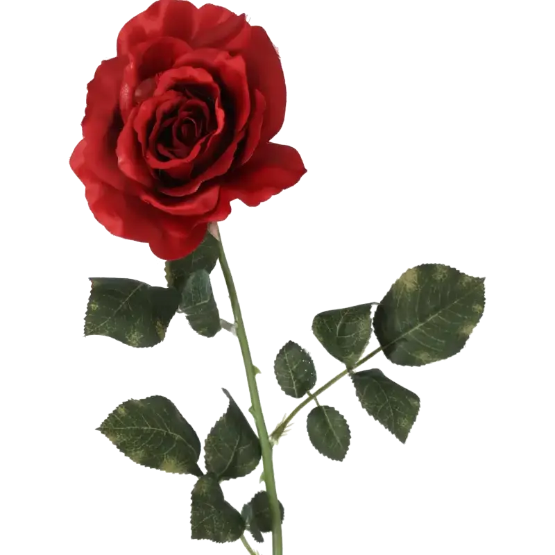 Closeup af Kunstig Rose stilk i rød - L: 75 cm.