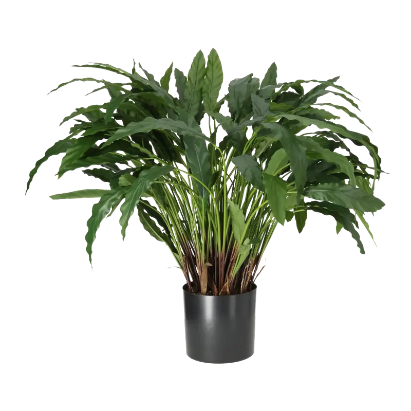Kunstig calathea - H: 88 cm.