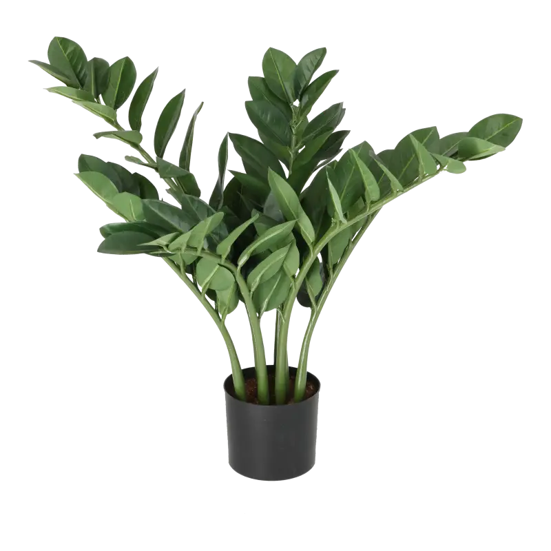 Kunstig zamioculcas plante - H: 45 cm.