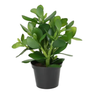 Kunstig money plante - H: 25 cm.