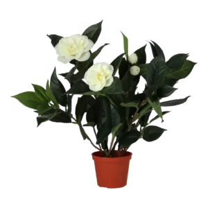 Kunstig camellia japonica - H: 42 cm.