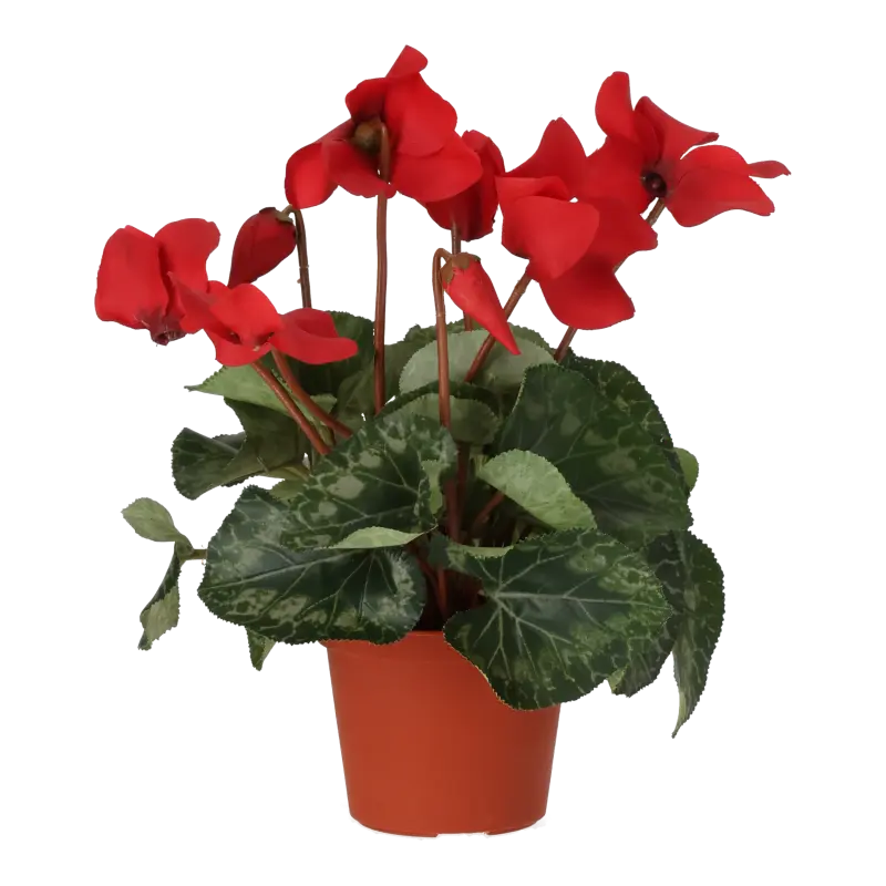 Kunstig alpe viol rød - H: 40 cm.