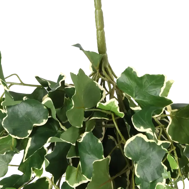 Closeup af Kunstig efeu hængeplante grøn/hvid - L: 45 cm.