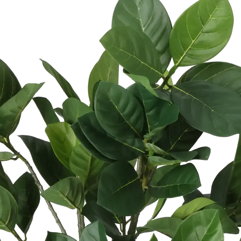 Closeup af Kunstig Artocarpus Integer H: 56 cm.