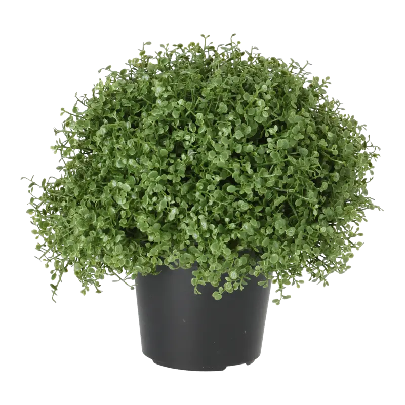 Kunstig husfred - H: 20 cm.