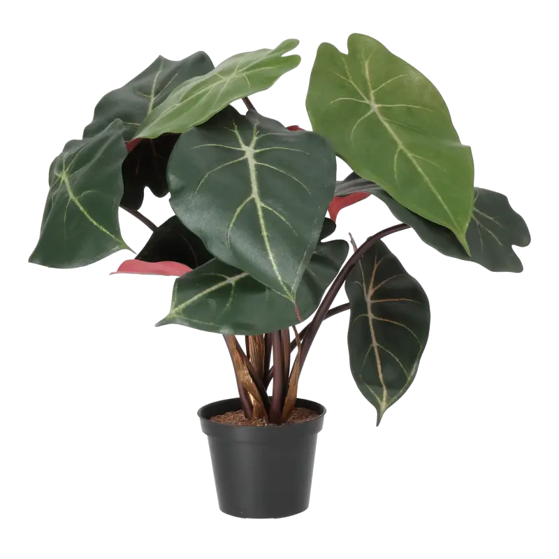 Kunstig syngonium plante - H: 34 cm.