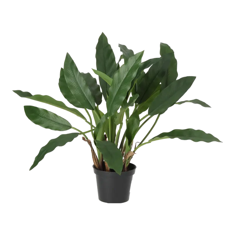 Kunstig calathea busk - H: 35cm.