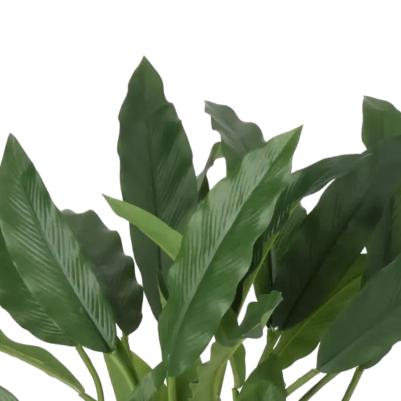 Closeup af Kunstig calathea busk H: 35cm.