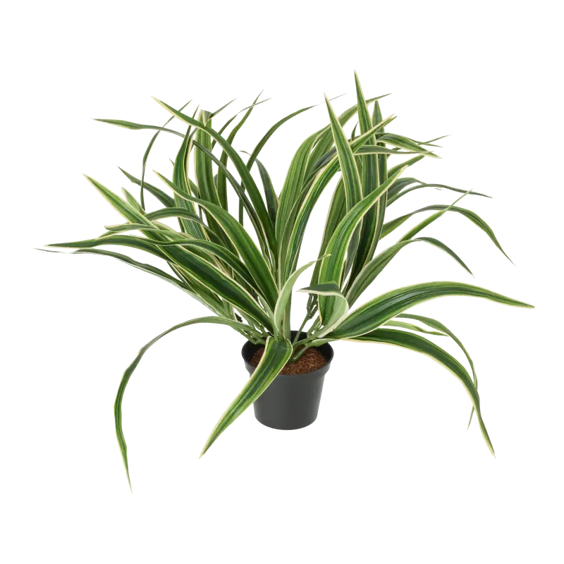 Kunstig Chlorophytum - H: 34 cm.