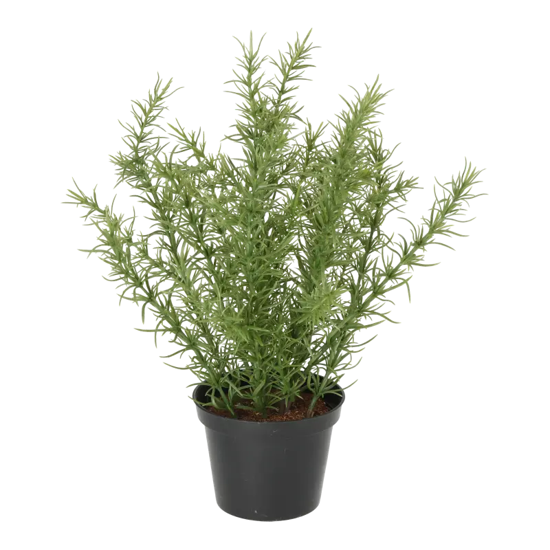 Kunstig rosmarin - H: 30 cm.