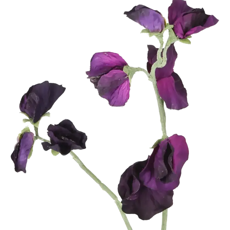 Closeup af Kunstig ærteblomst stilk i mørk lilla - L: 42 cm.