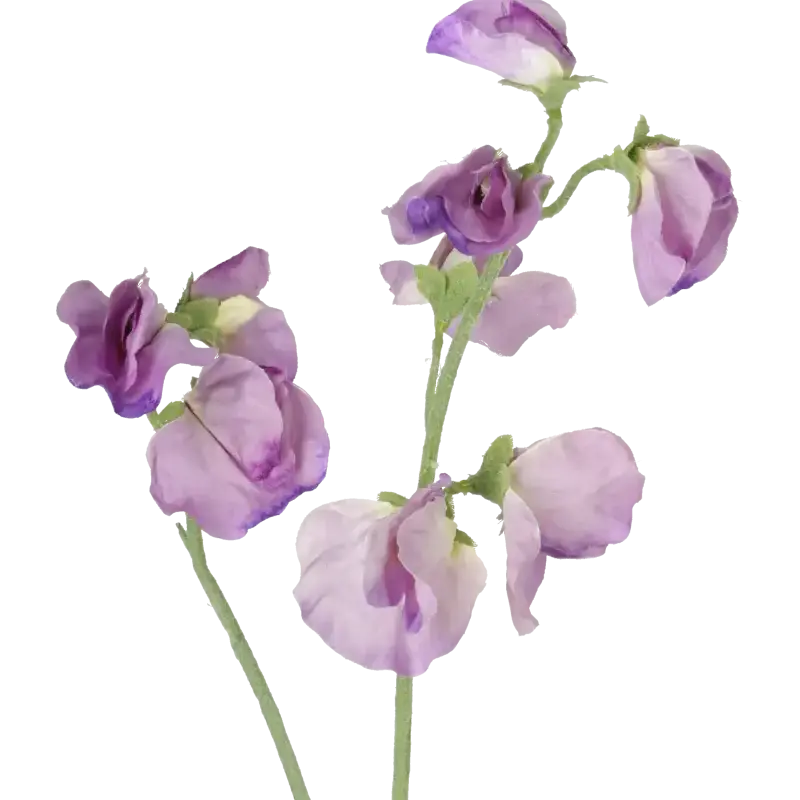Closeup af Kunstig ærteblomst stilk i lilla - L: 42 cm.