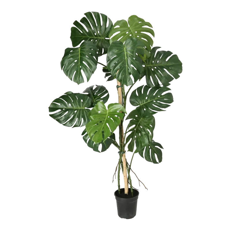 Kunstig fingerphilodendron - H: 150 cm.