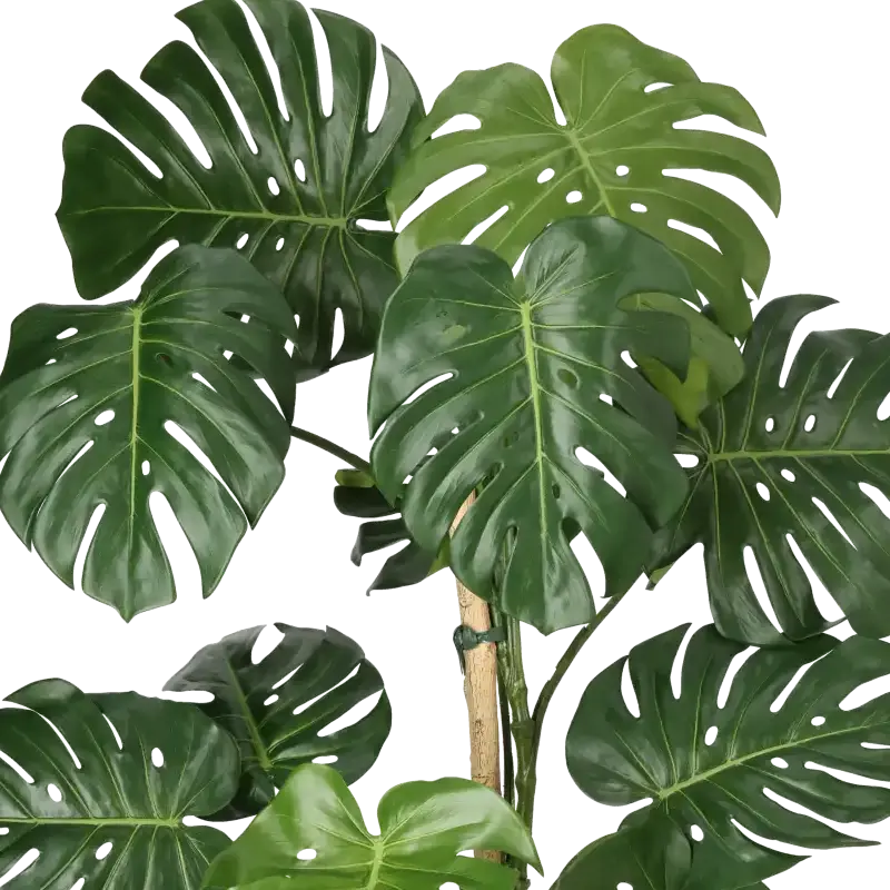 Closeup af Kunstig fingerphilodendron H: 150 cm.