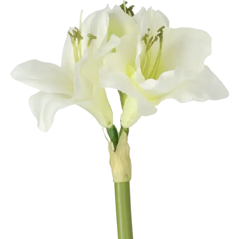 Closeup af Kunstig Amaryllis creme/hvid L: 50 cm.
