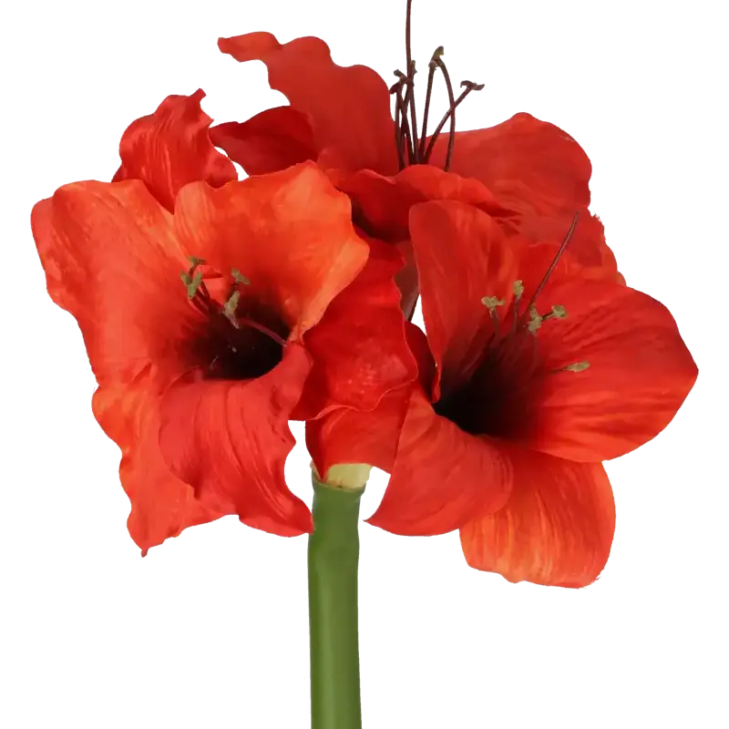 Closeup af Kunstig Amaryllis stilk i rød L: 60 cm.