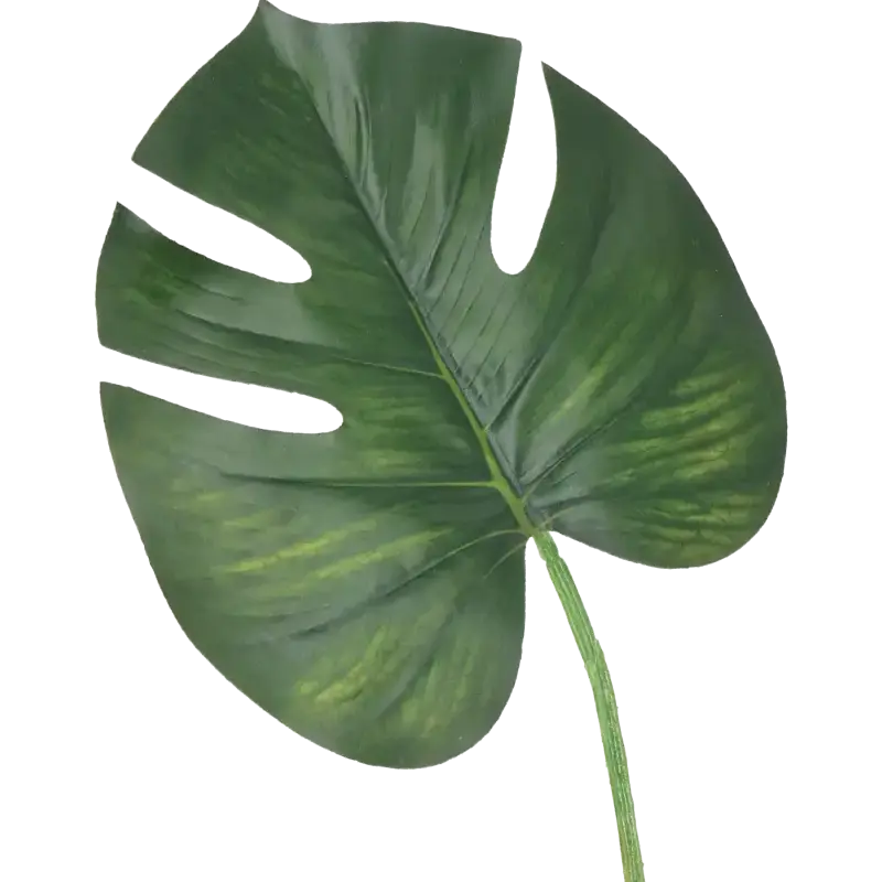 Closeup af Kunstig Monstera blad L: 60 cm.